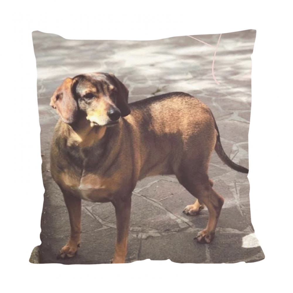 Cuscino All Over Print Patty